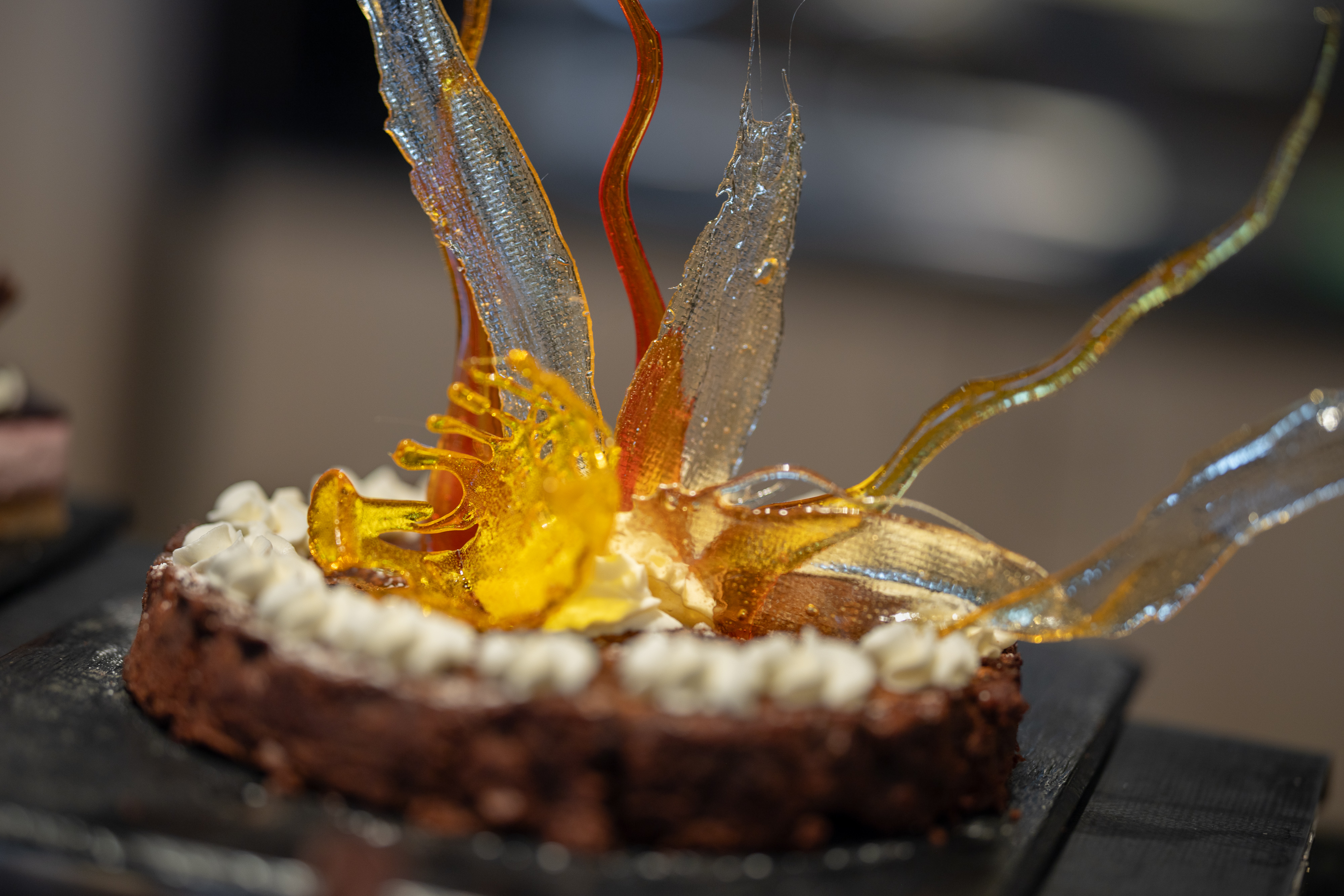 MS Spitsbergen - Aune